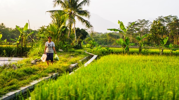 man and woman walking on green grass field during daytime