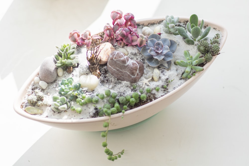 white and pink floral ceramic bowl