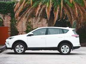 white suv parked near palm tree during daytime