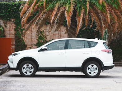 white suv parked near palm tree during daytime