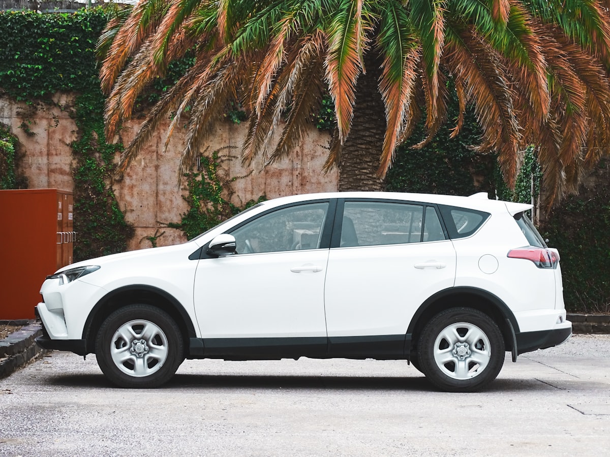White SUV parked near a palm tree during daytime