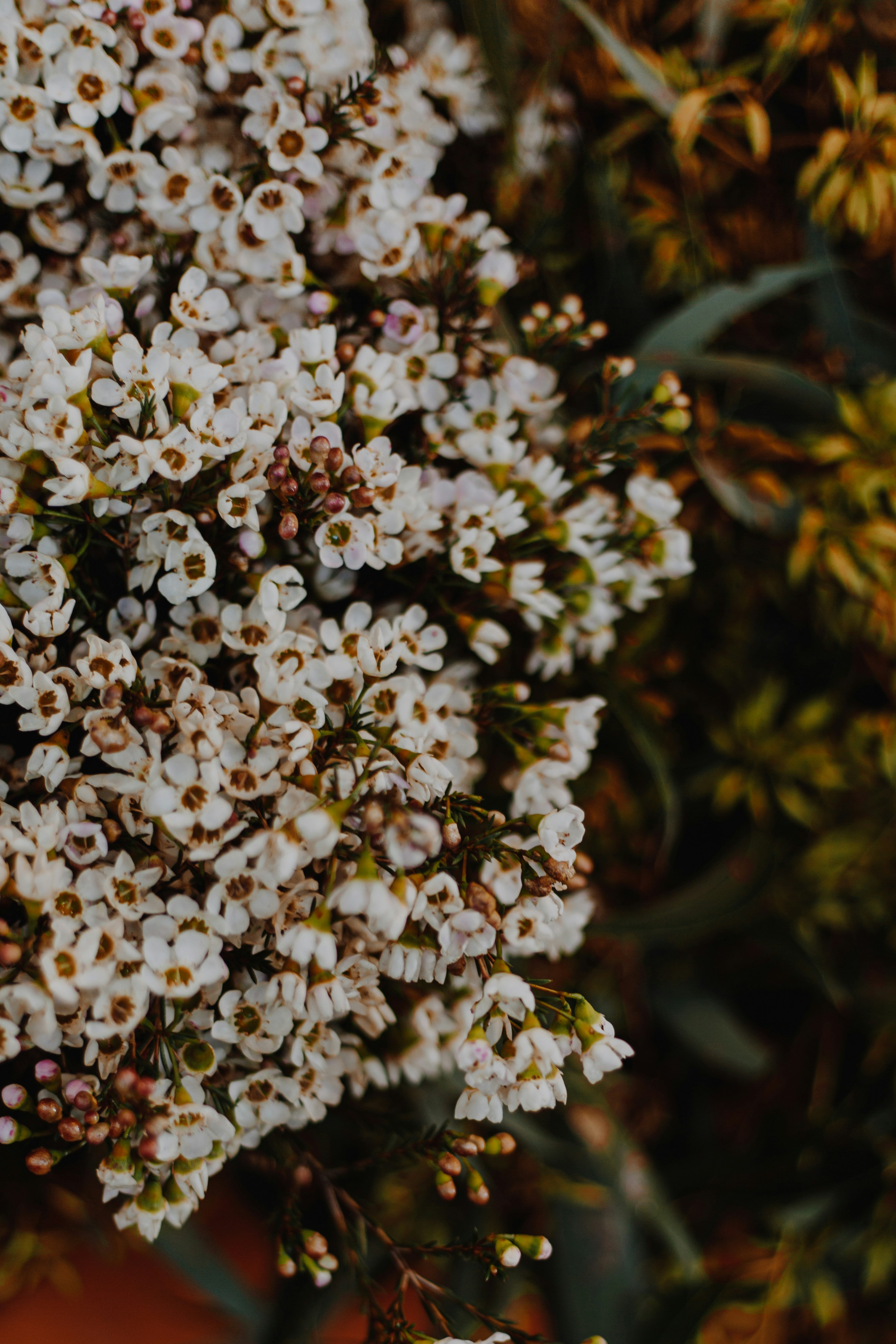 Photo by i_am_simoesse