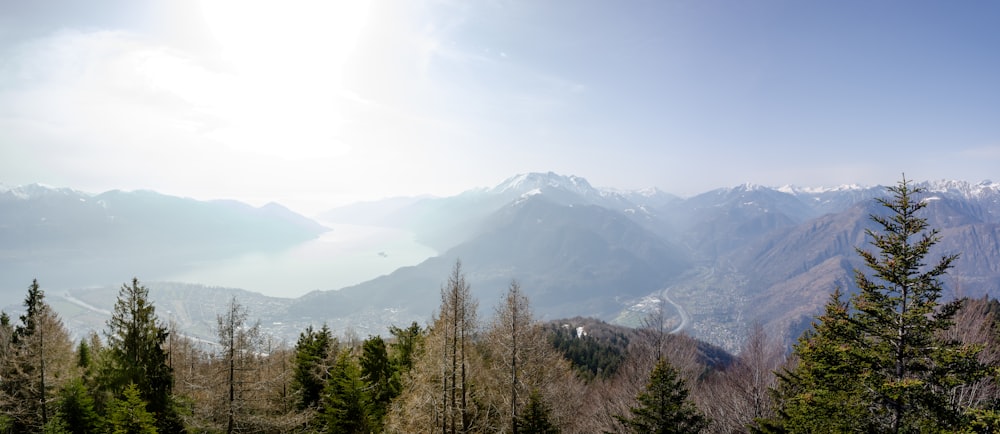 green trees near mountain during daytime