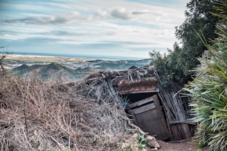 An abandoned, rustic shelter made from wood and branches is surrounded by dry brush and green vegetation. In the background, a vast landscape of hills stretches towards the horizon, with a glimpse of a city and ocean in the distance under a cloudy sky.