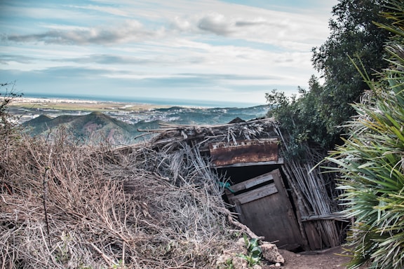 An abandoned, rustic shelter made from wood and branches is surrounded by dry brush and green vegetation. In the background, a vast landscape of hills stretches towards the horizon, with a glimpse of a city and ocean in the distance under a cloudy sky.