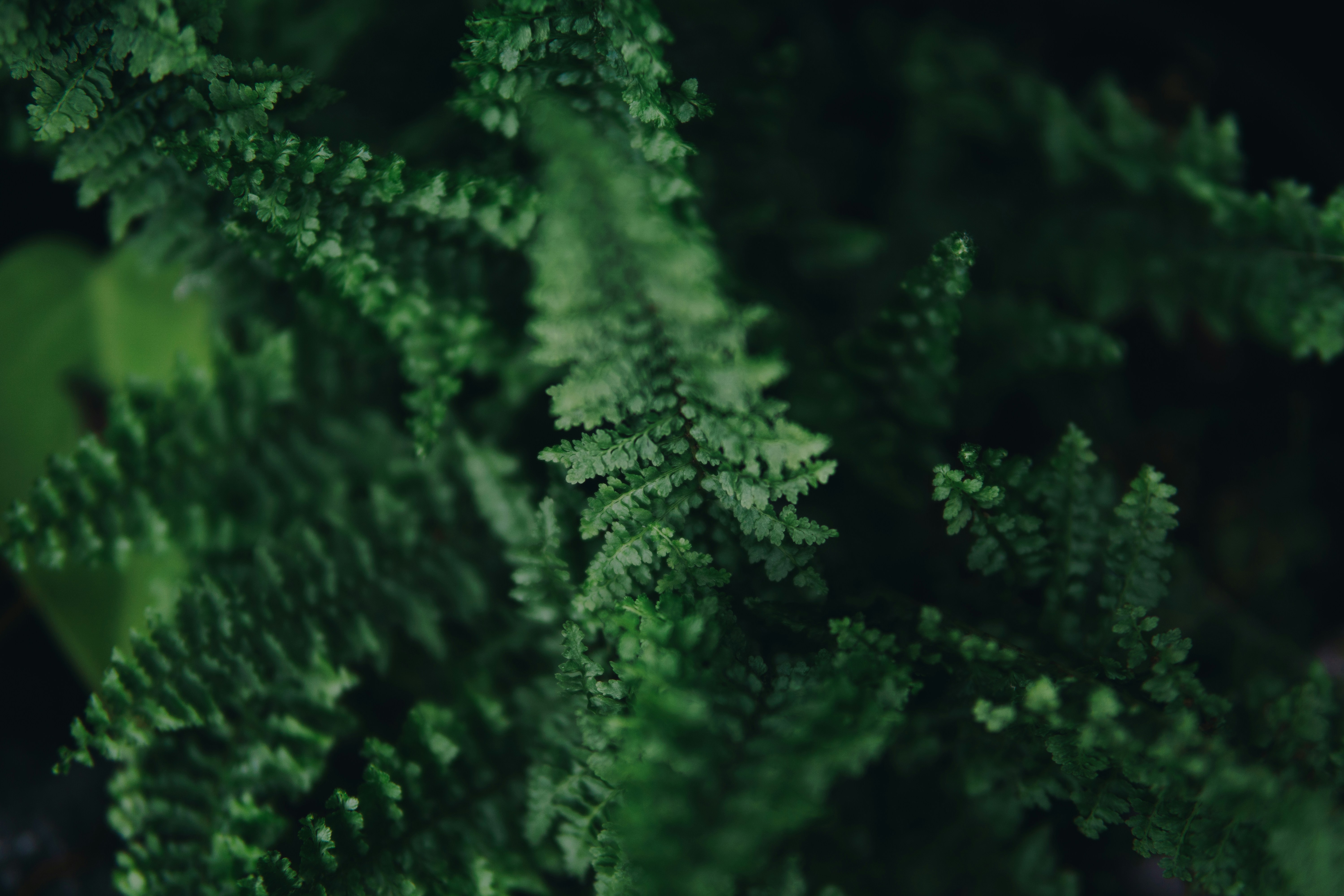 Photo by ayunurulitaa