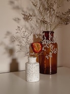 Two decorative vases are placed on a flat surface. The smaller vase is speckled white with a narrow neck, containing dried plants and a single red and yellow flower. The larger vase is brown and translucent, also filled with delicate, dried stems. Shadows of the plants are cast on the background wall, creating a soft, atmospheric effect.