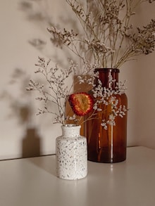 red flowers in white ceramic vase