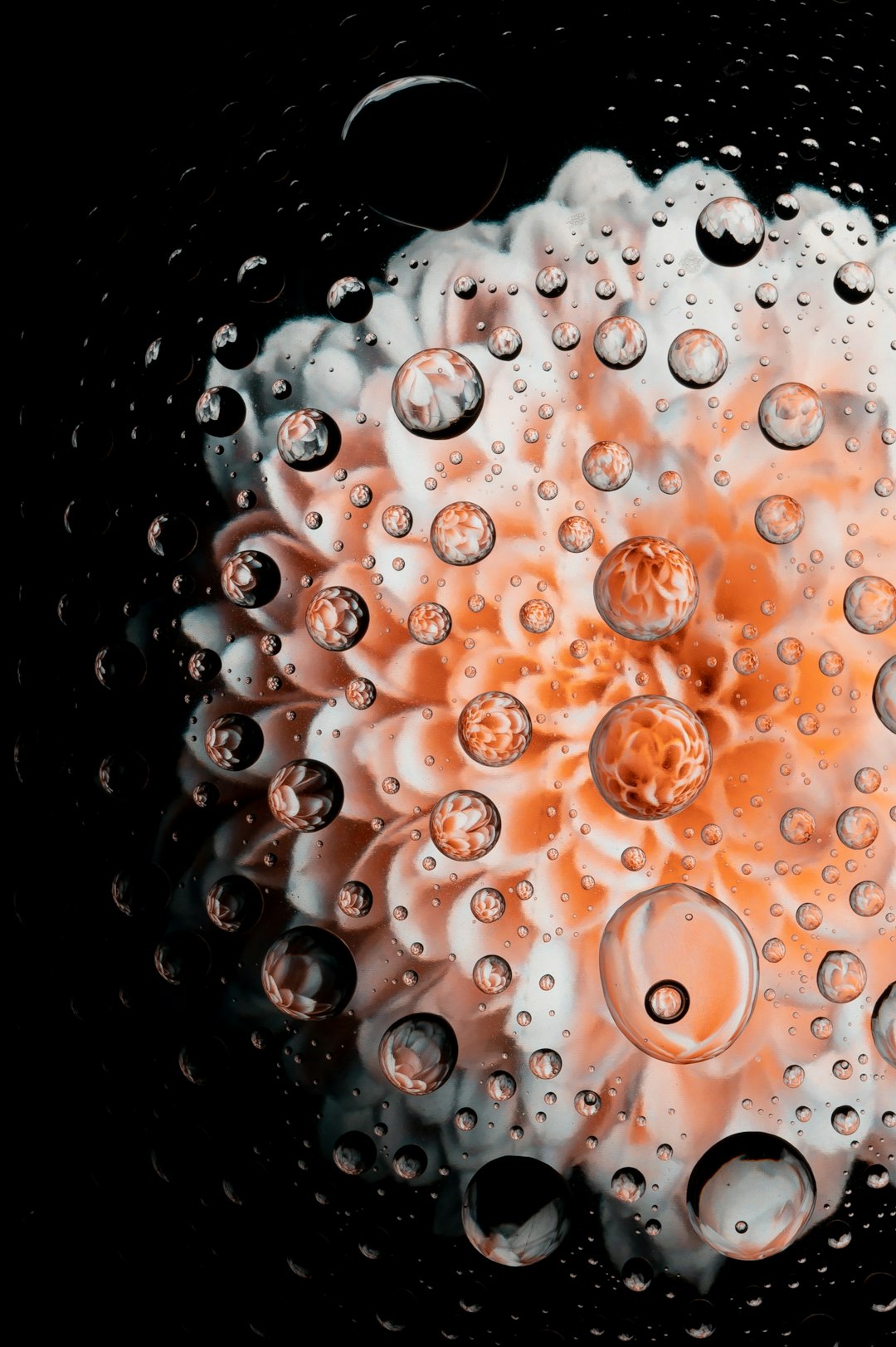 water droplets on black surface