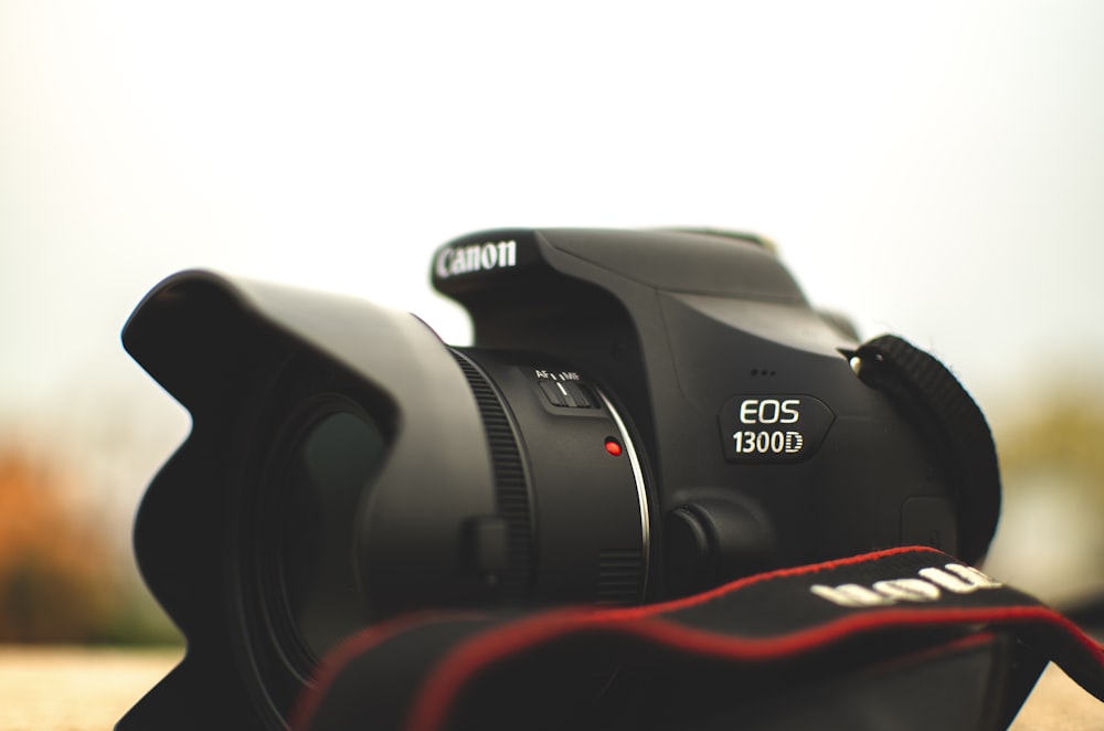 Canon 1300D Pictures | Free Images Unsplash