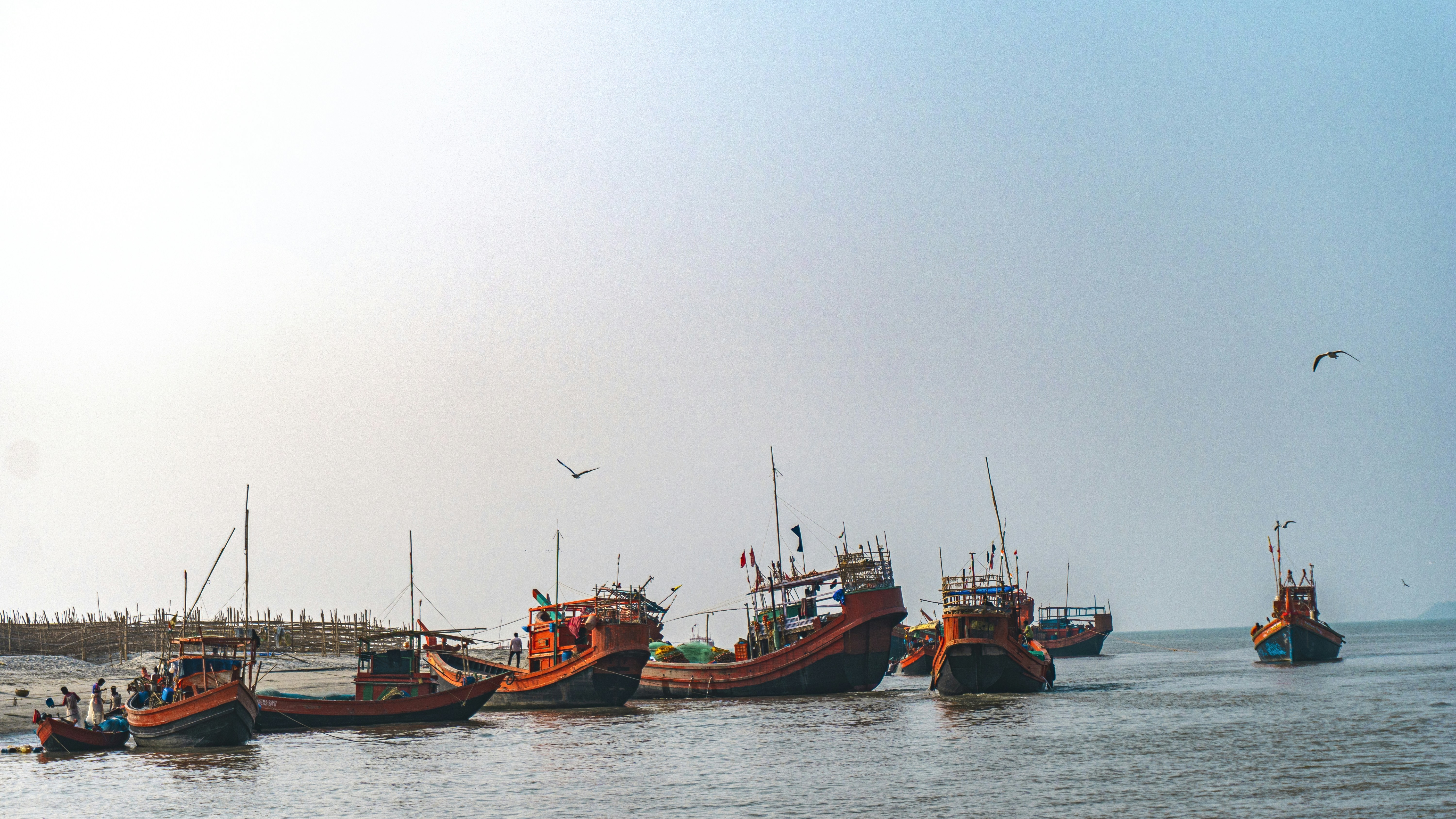 Subrata Banik (@subroto_jpeg) | Unsplash Photo Community