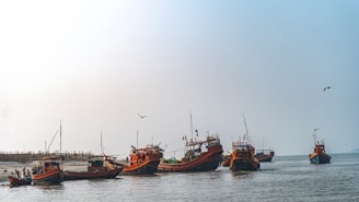 Several colorful fishing boats are anchored in calm waters near a shoreline. Each boat is equipped with flags and equipment, and there are people visible on some of the boats. The sky is clear with a few birds flying above, creating a peaceful maritime scene.