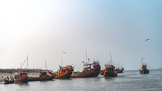 Several colorful fishing boats are anchored in calm waters near a shoreline. Each boat is equipped with flags and equipment, and there are people visible on some of the boats. The sky is clear with a few birds flying above, creating a peaceful maritime scene.