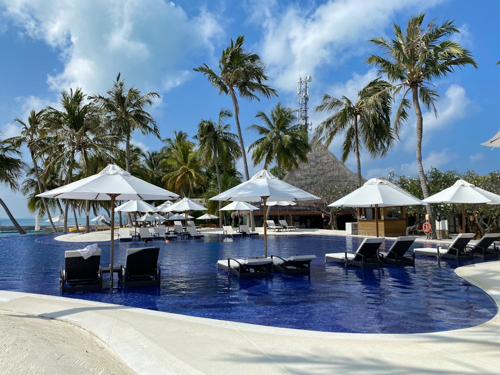 white and blue beach umbrellas on blue body of water during daytime