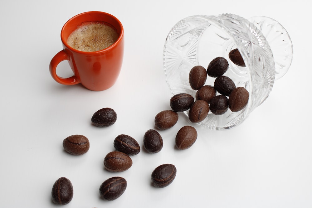 braune Kaffeebohnen auf weißer Keramikuntertasse neben klar geschnittener Glasrunde Schüssel