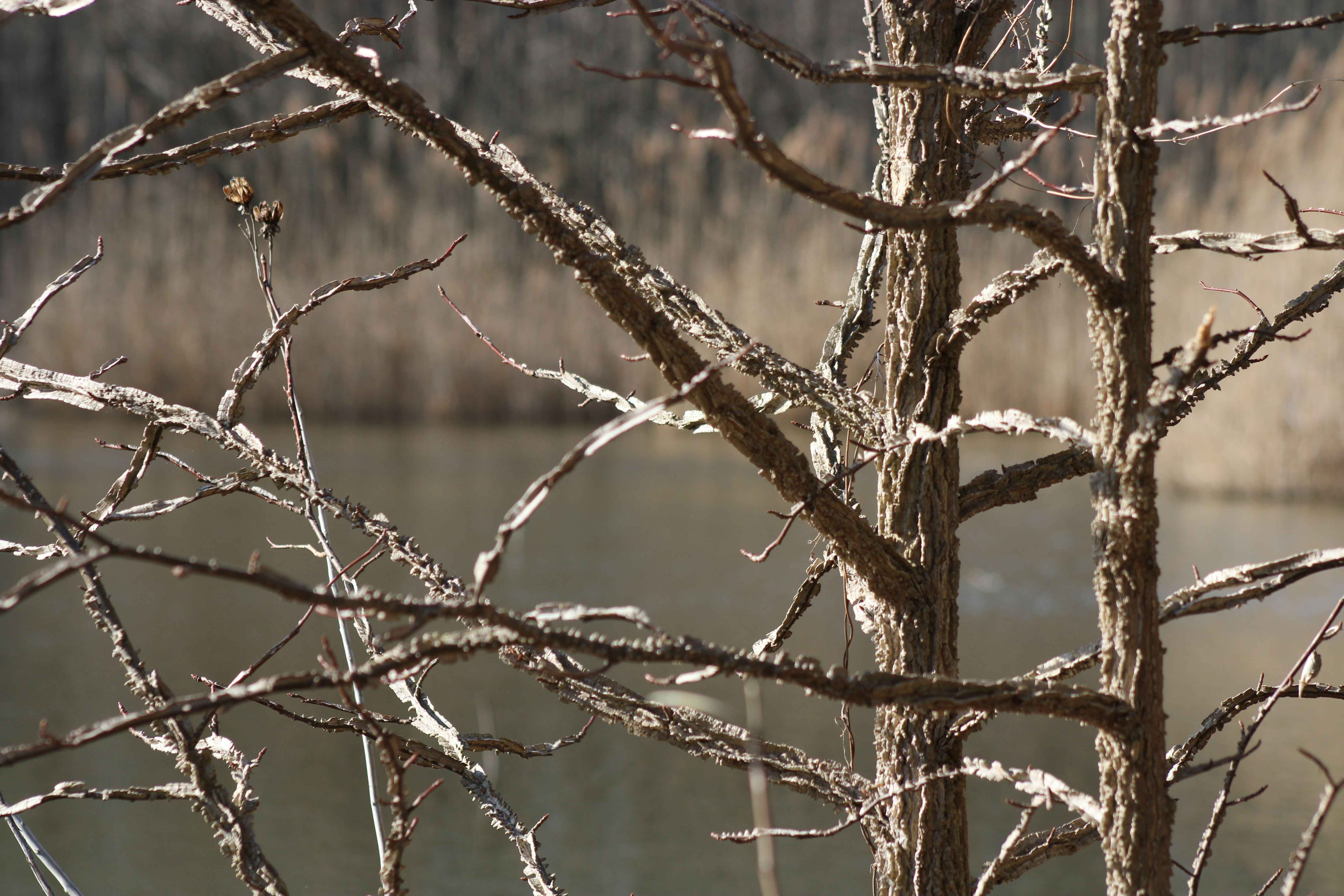 Photo by salon_agility