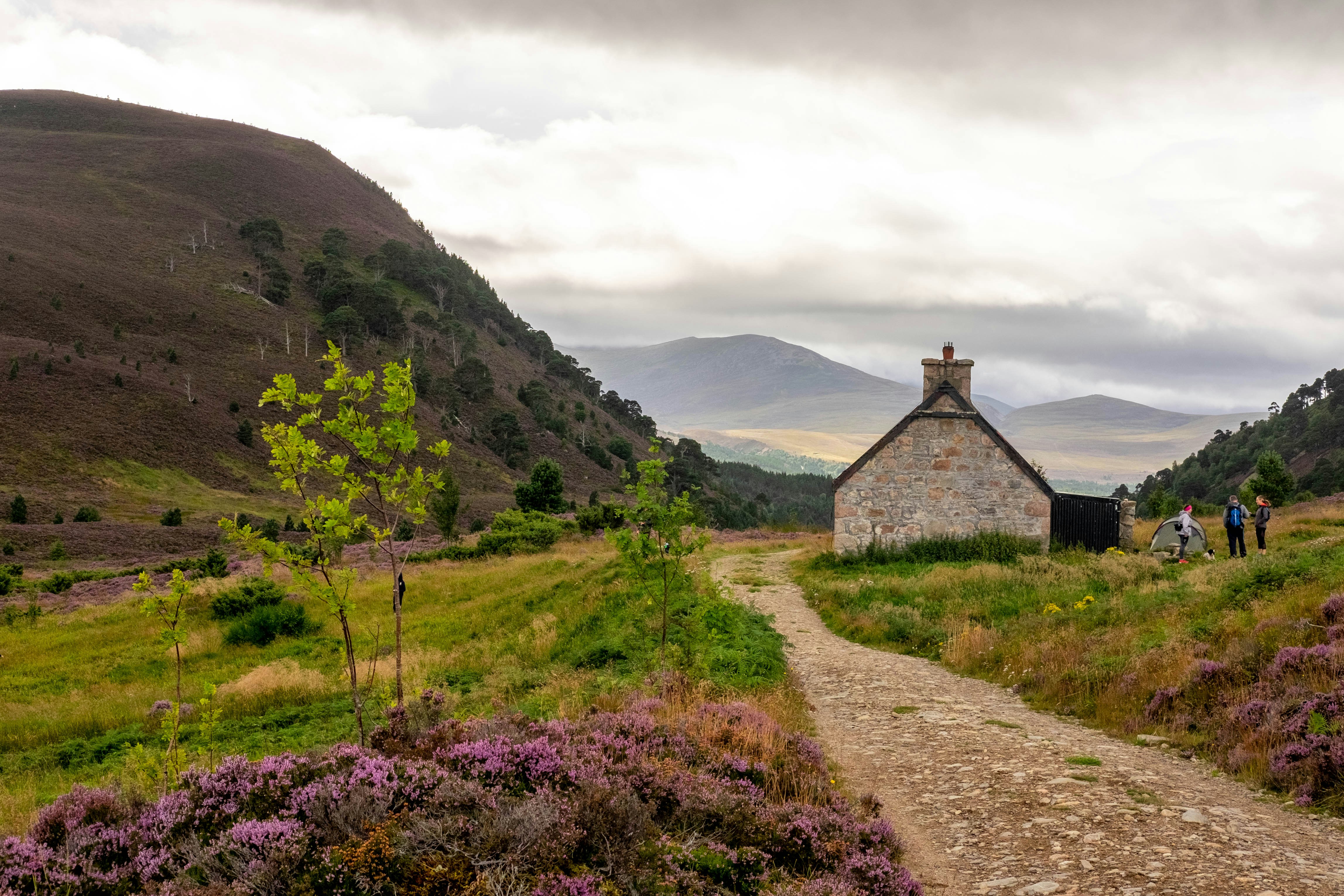 Photo by ibrahimdirar