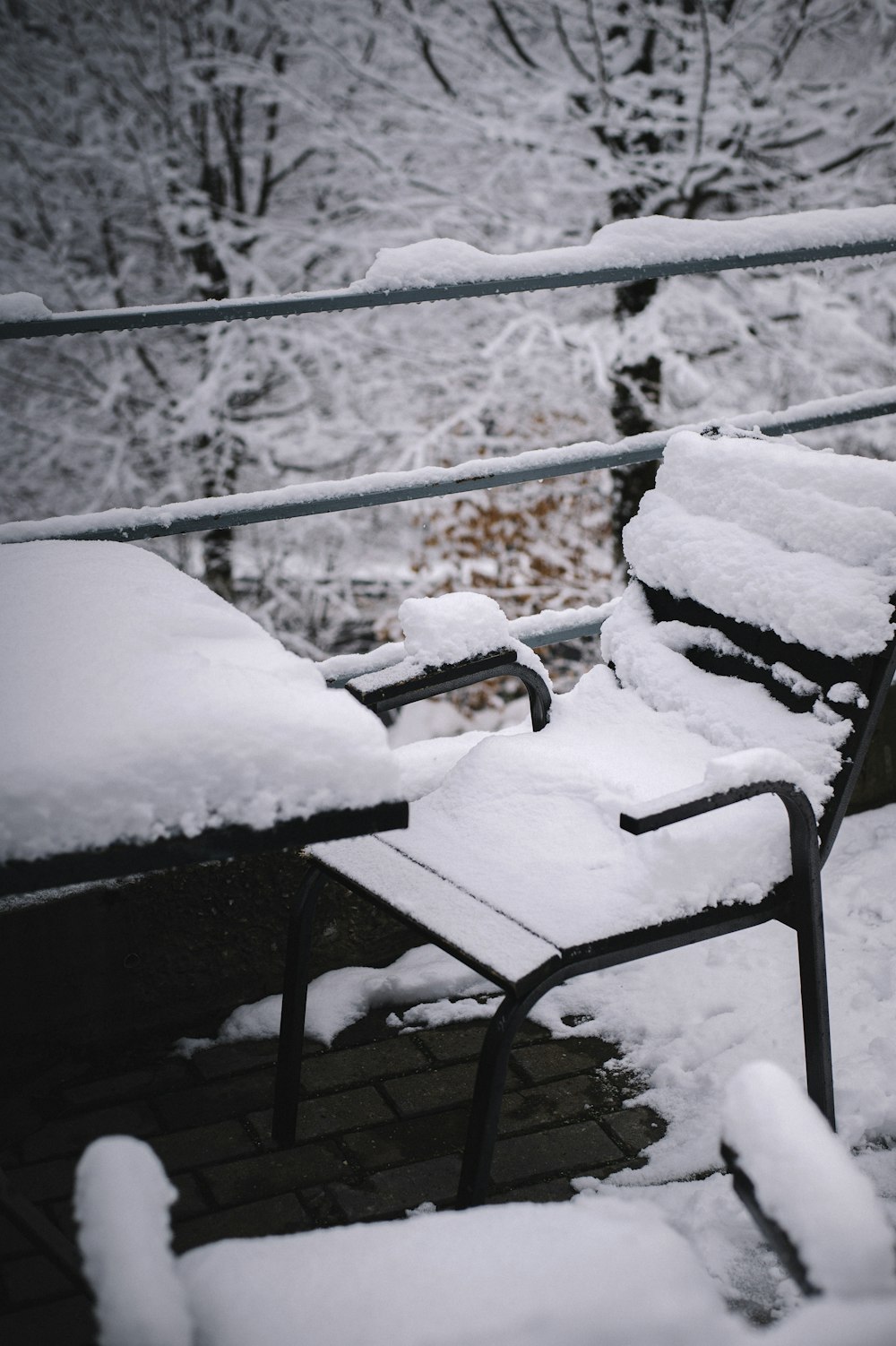 Banco cubierto de nieve durante el día