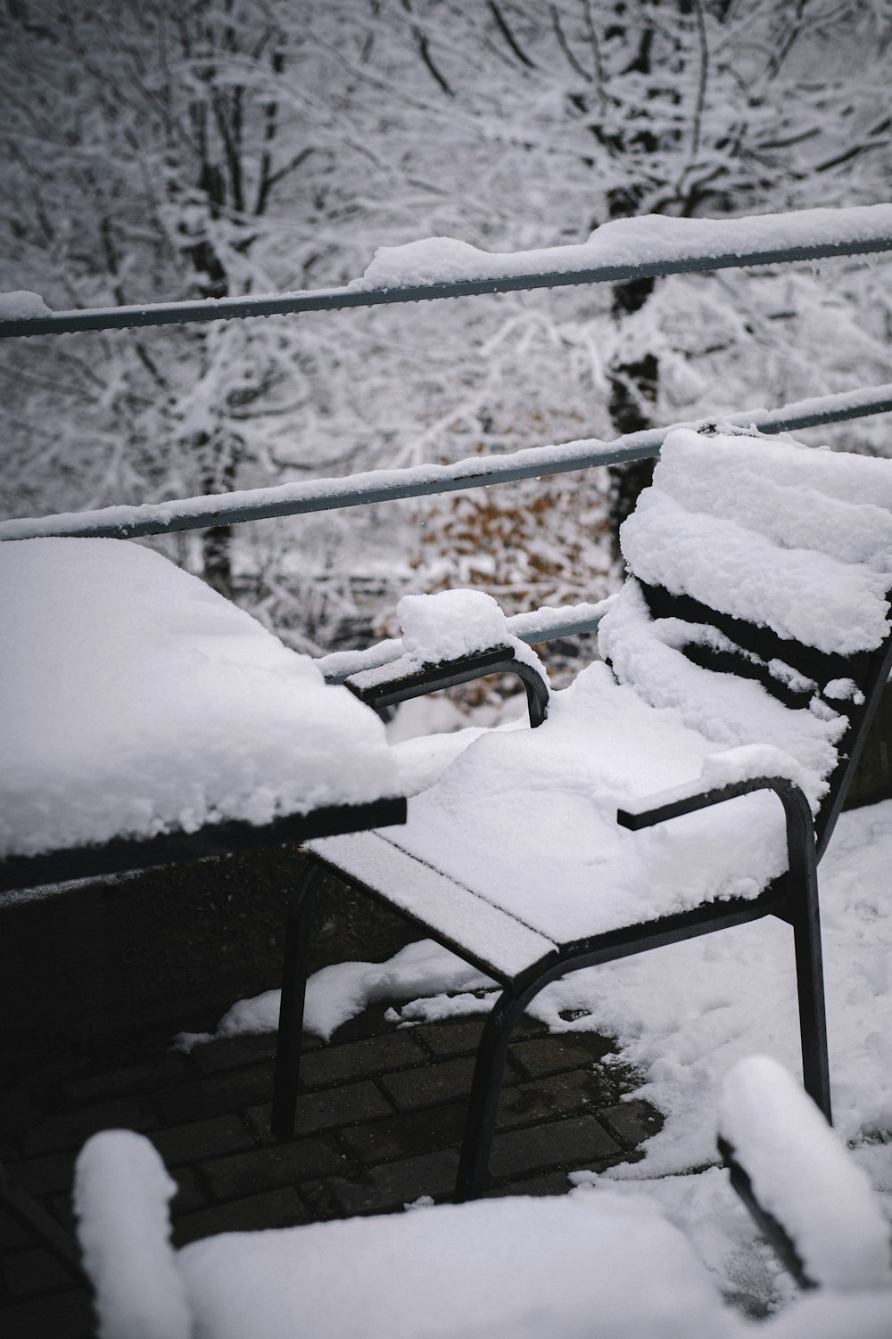 banco coberto de neve durante o dia