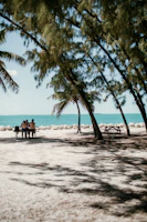 A couple sharing a sunset picnic on a secluded beach with turquoise waters