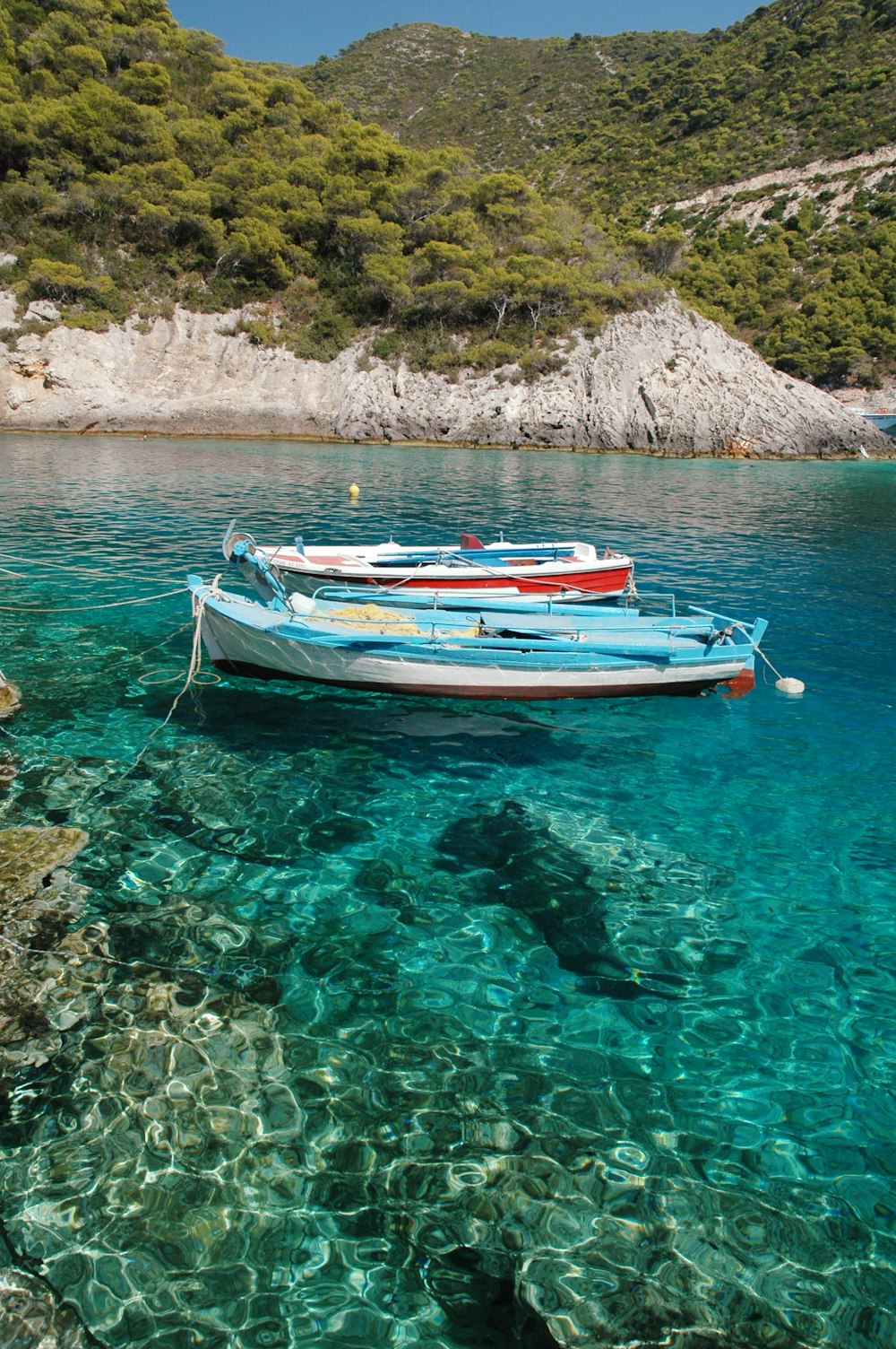 barca bianca e rossa sullo specchio d'acqua durante il giorno