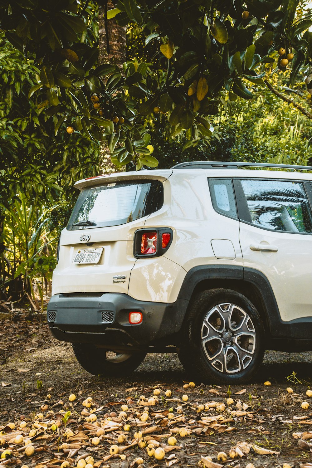 white suv parked near green leaf tree during daytime