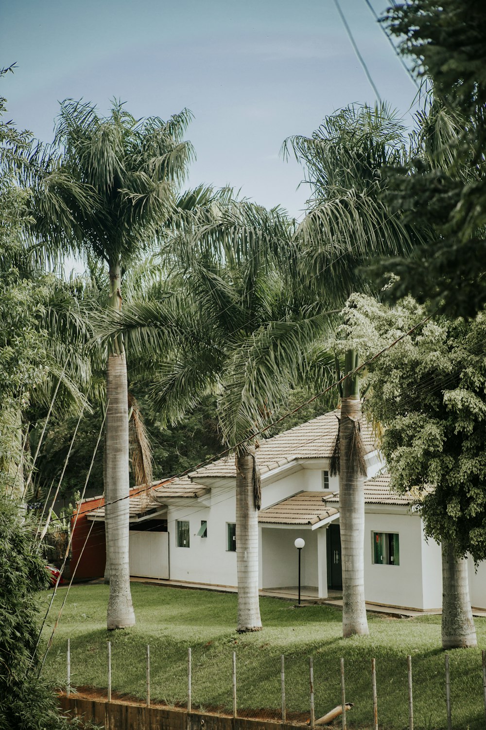 white concrete house near palm trees during daytime