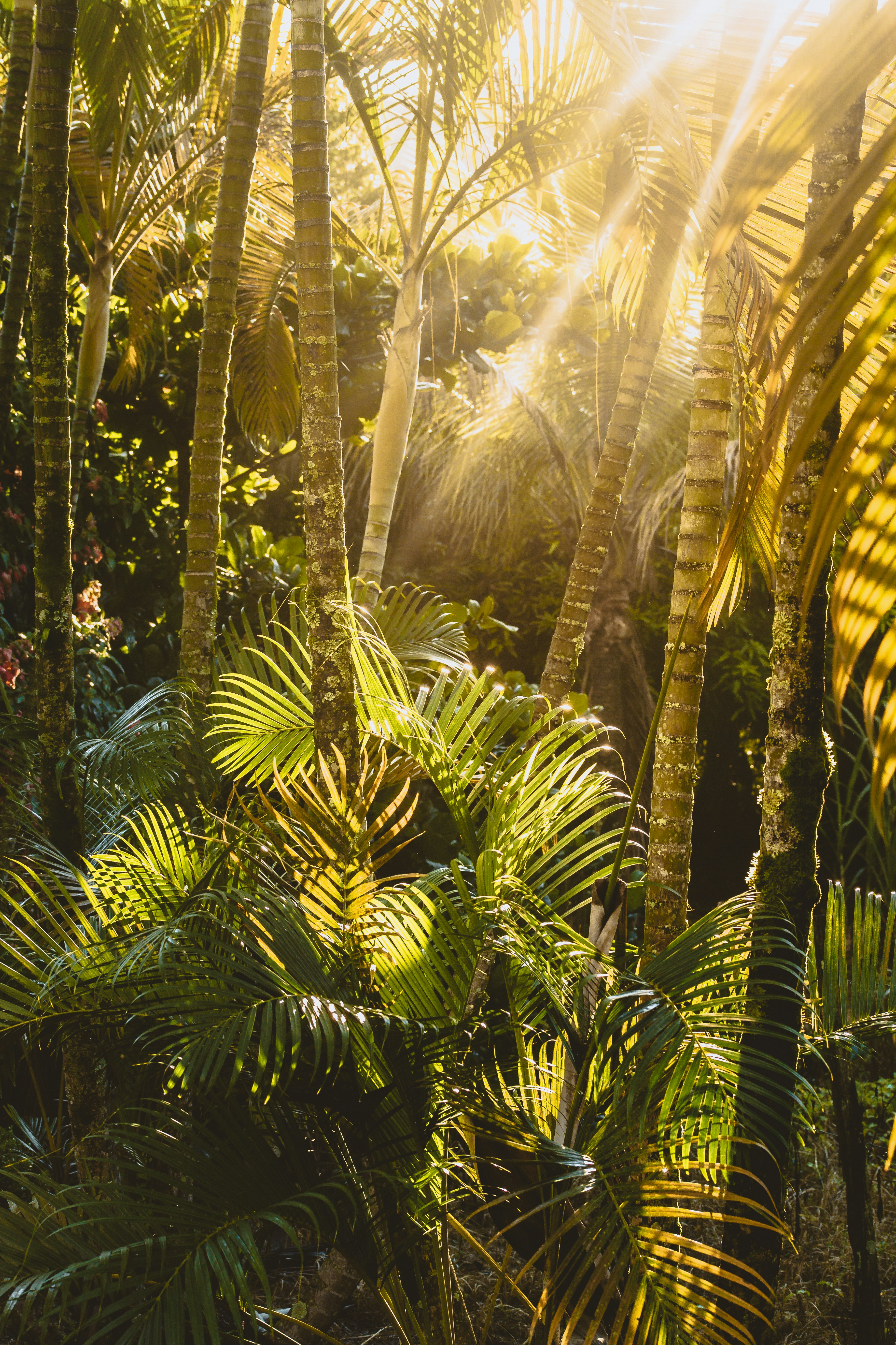 Photo by mauriciosabino