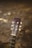 The image features the headstock of an acoustic guitar with visible tuning pegs and strings, set against a blurred earthy background. The wood of the guitar appears worn, adding a sense of vintage character.