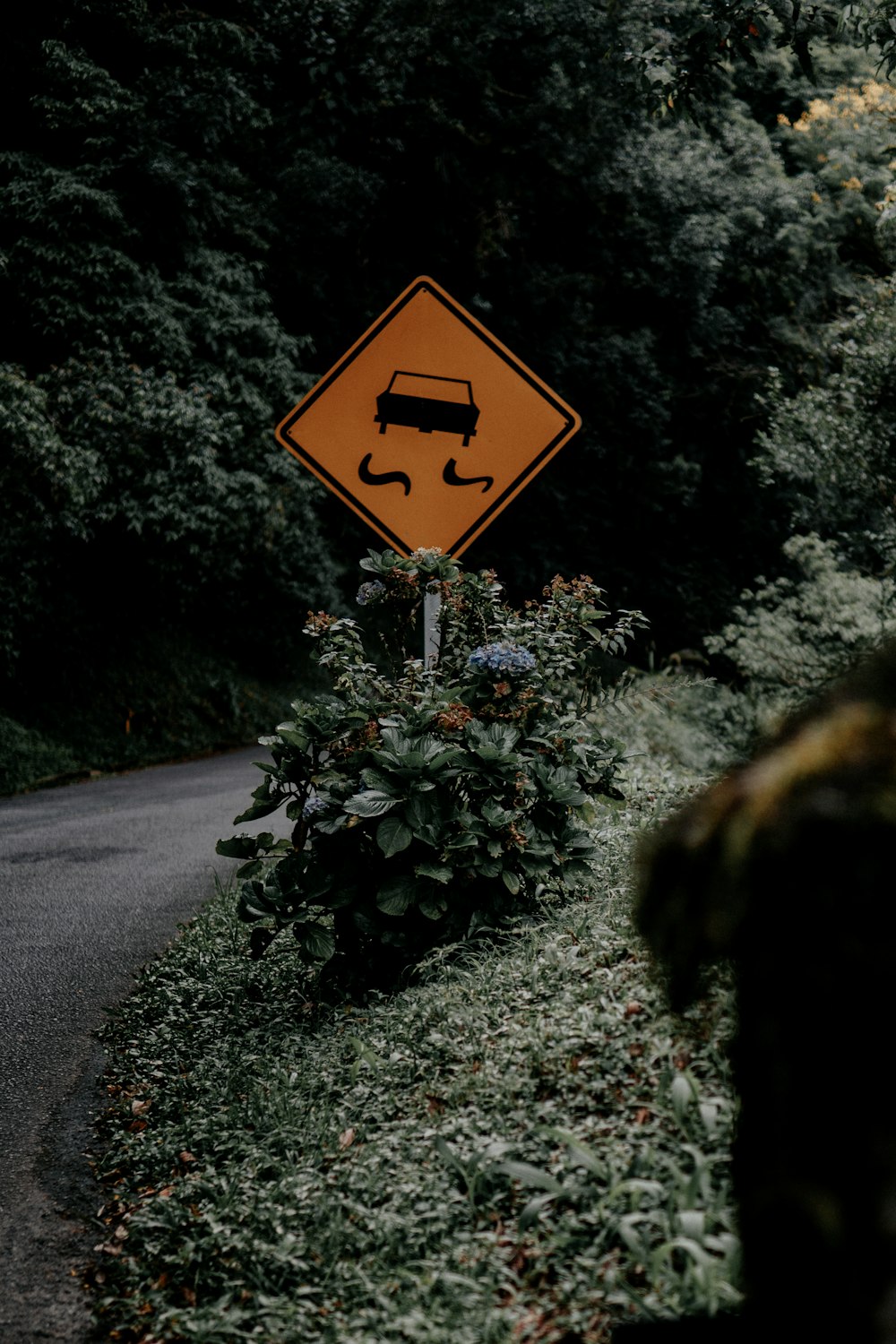 yellow and black road sign