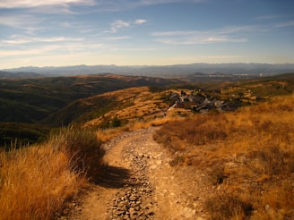 brown and green grass field under blue sky during daytime