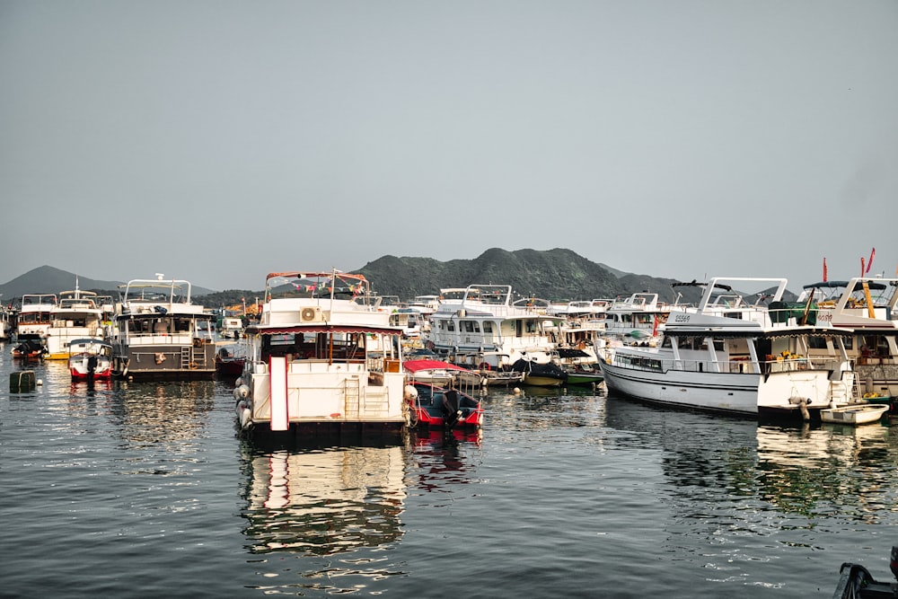 weißes und rotes Boot tagsüber auf dem Wasser