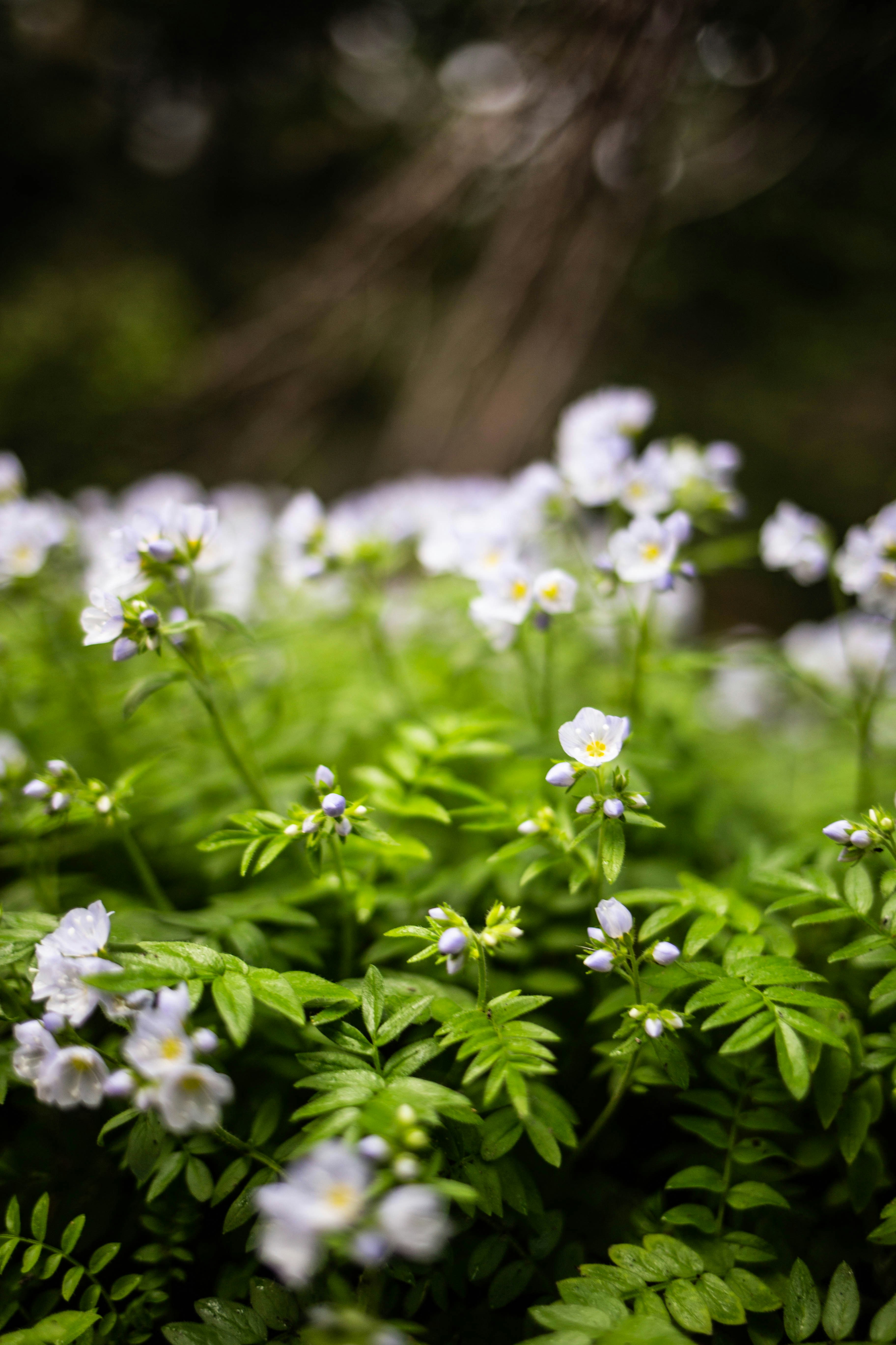 Photo by benjamin_deyoung