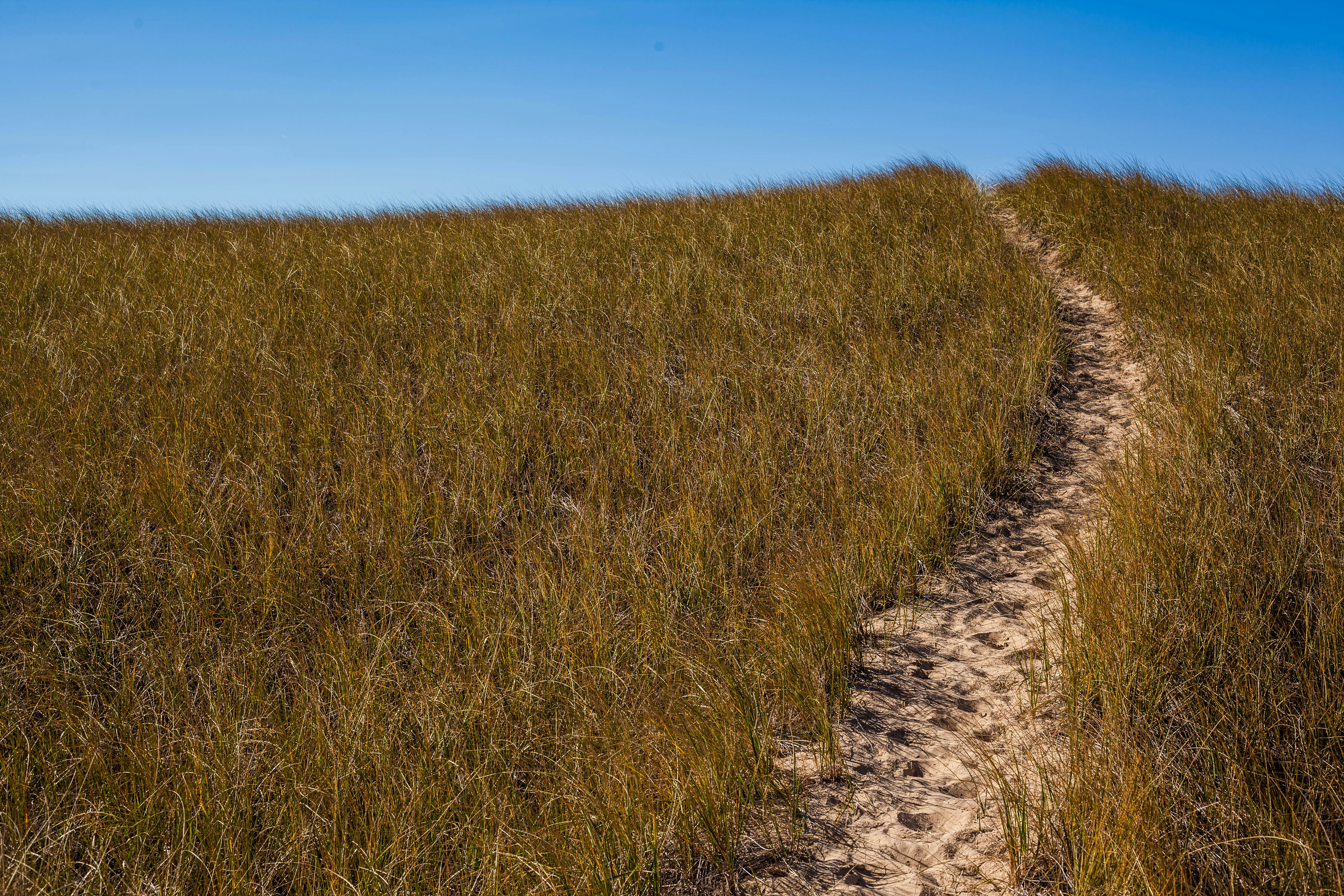 Photo by benjamin_deyoung