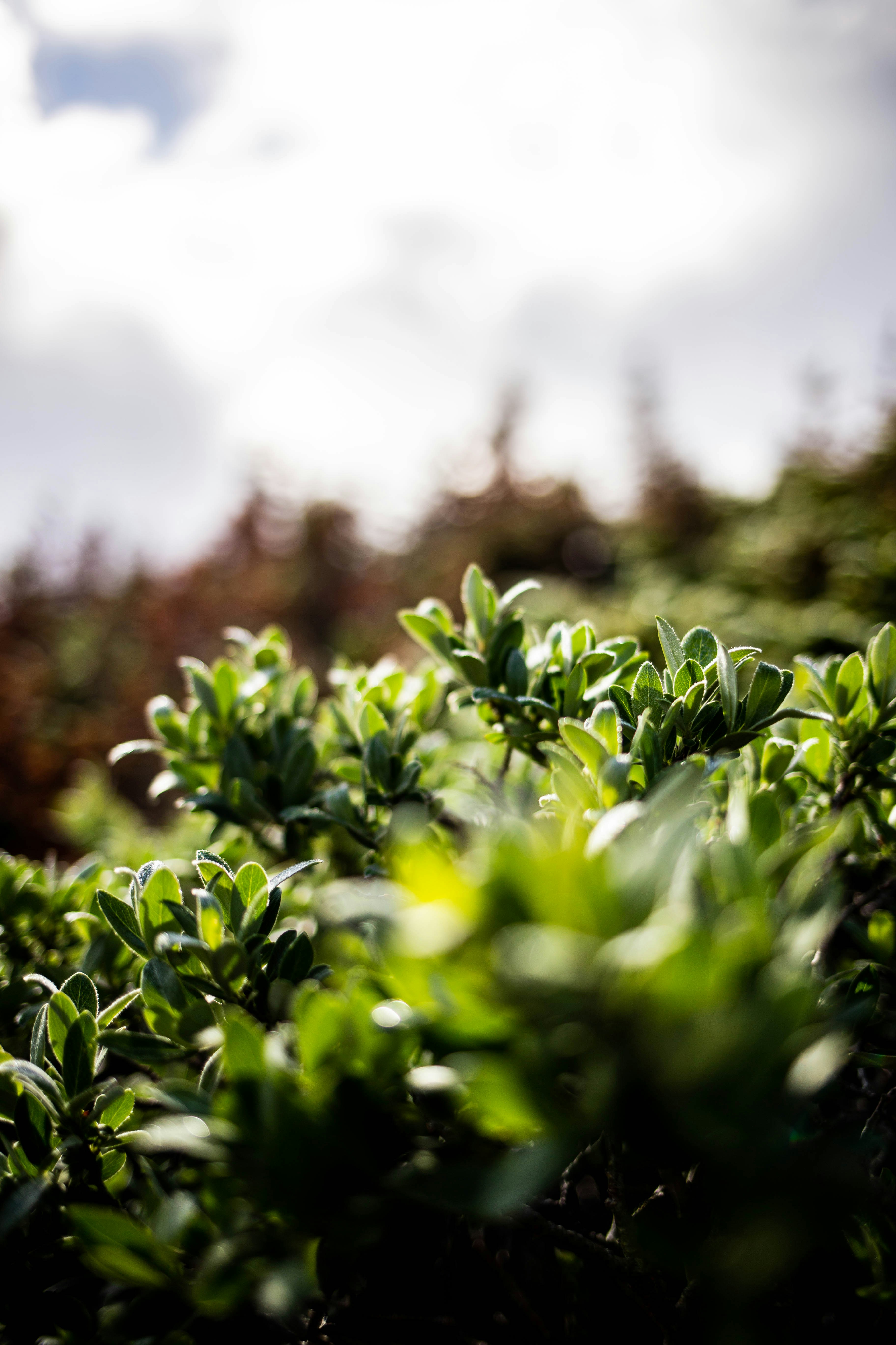 Photo by benjamin_deyoung