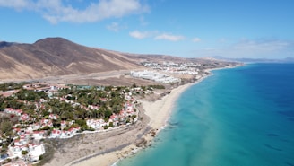 green trees on brown mountain near body of water during daytime