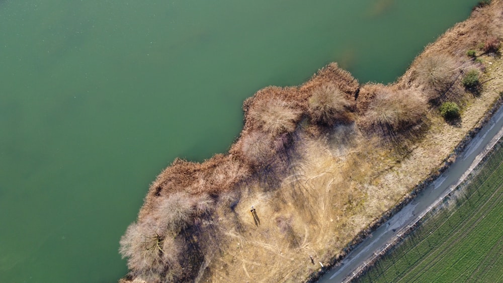 aerial view of green and brown land