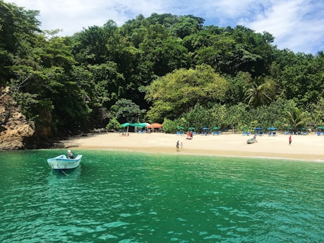 A serene beach scene with turquoise waters and a small boat floating in the foreground. The sandy shore is lined with a few people walking and a cluster of umbrellas and chairs. Behind the beach, lush green trees form a dense forest, creating a tranquil, secluded atmosphere. The sky is partly cloudy, adding layers to the tranquil landscape.