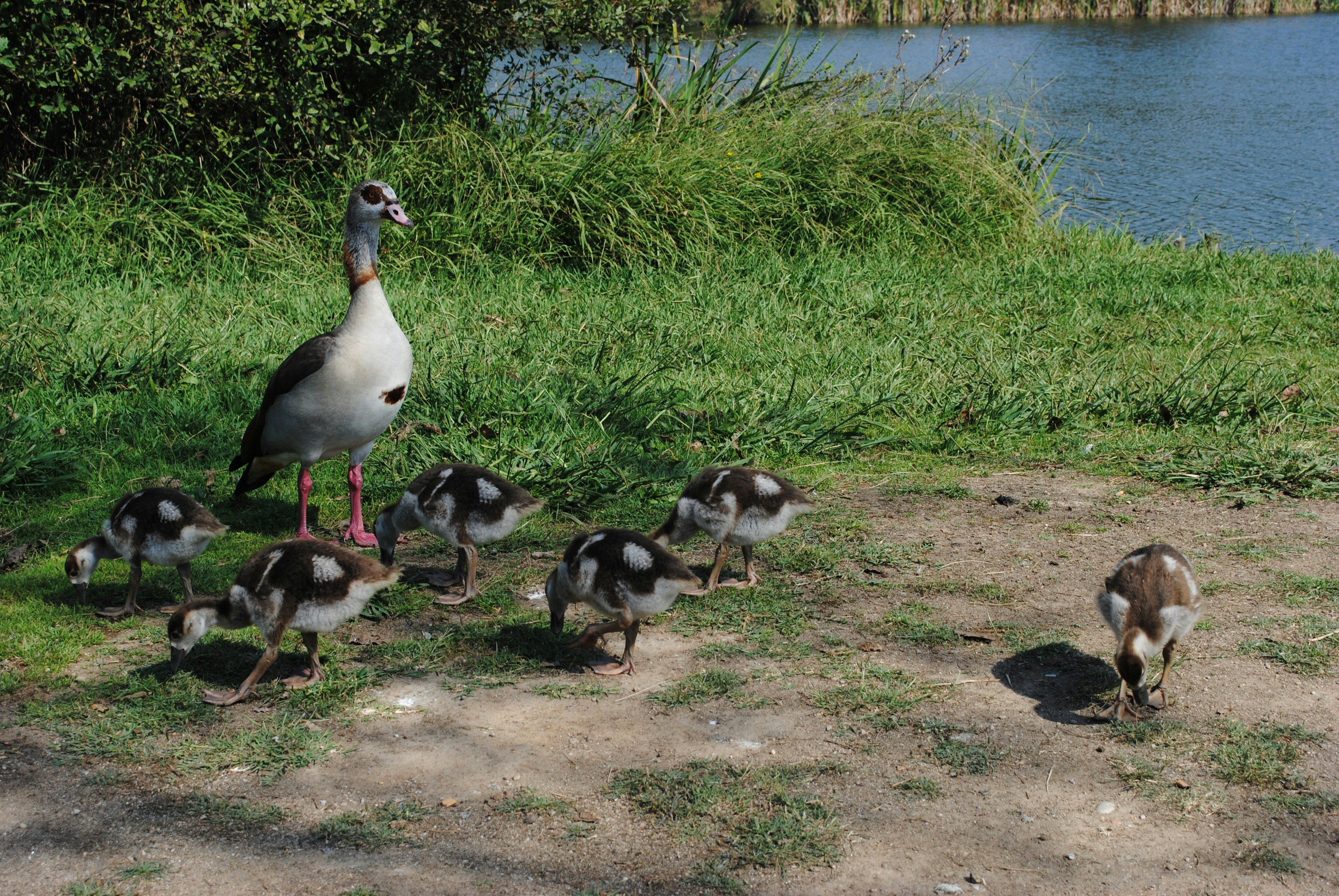 Photo by orrell_mount