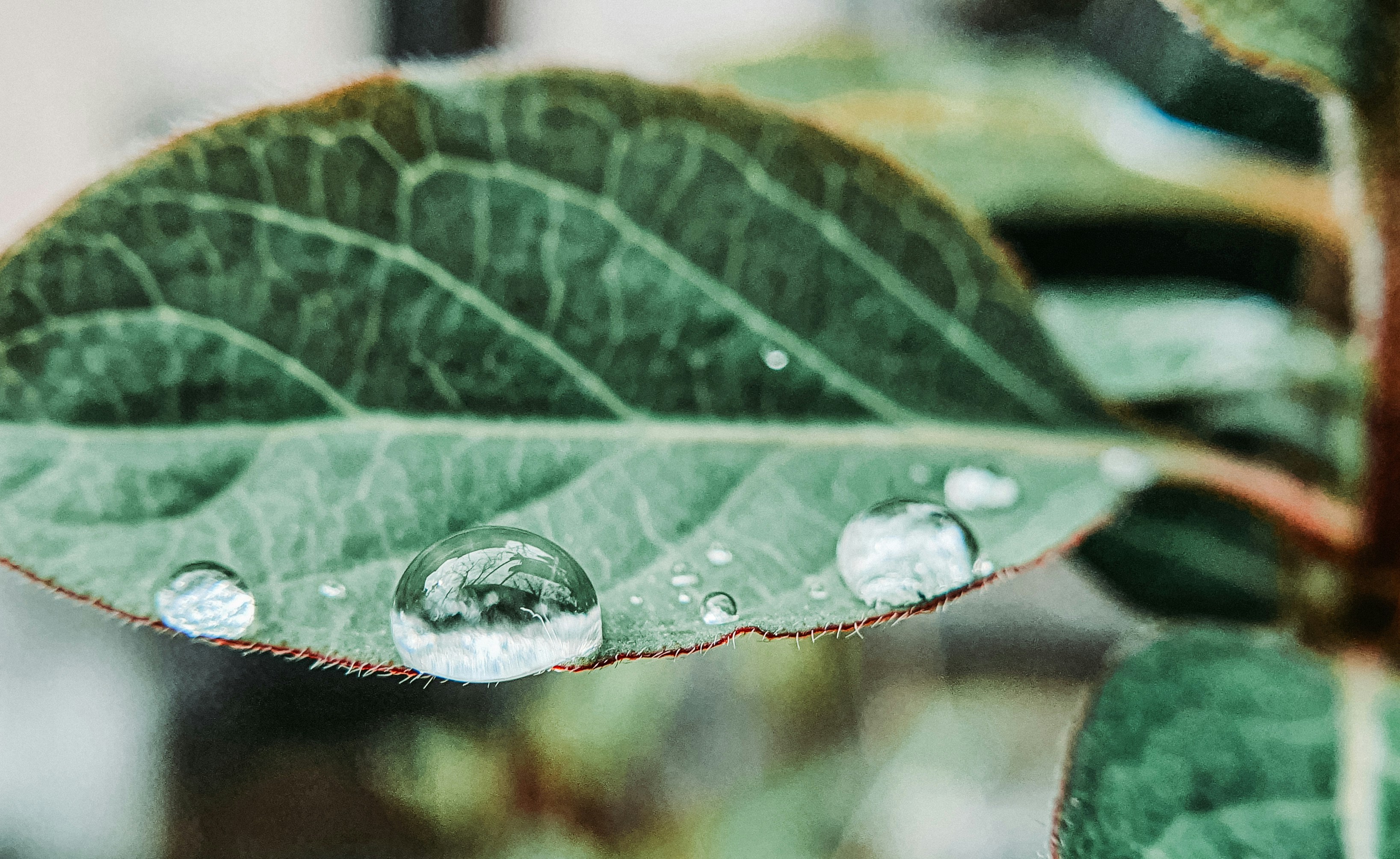 Photo by jaquestories