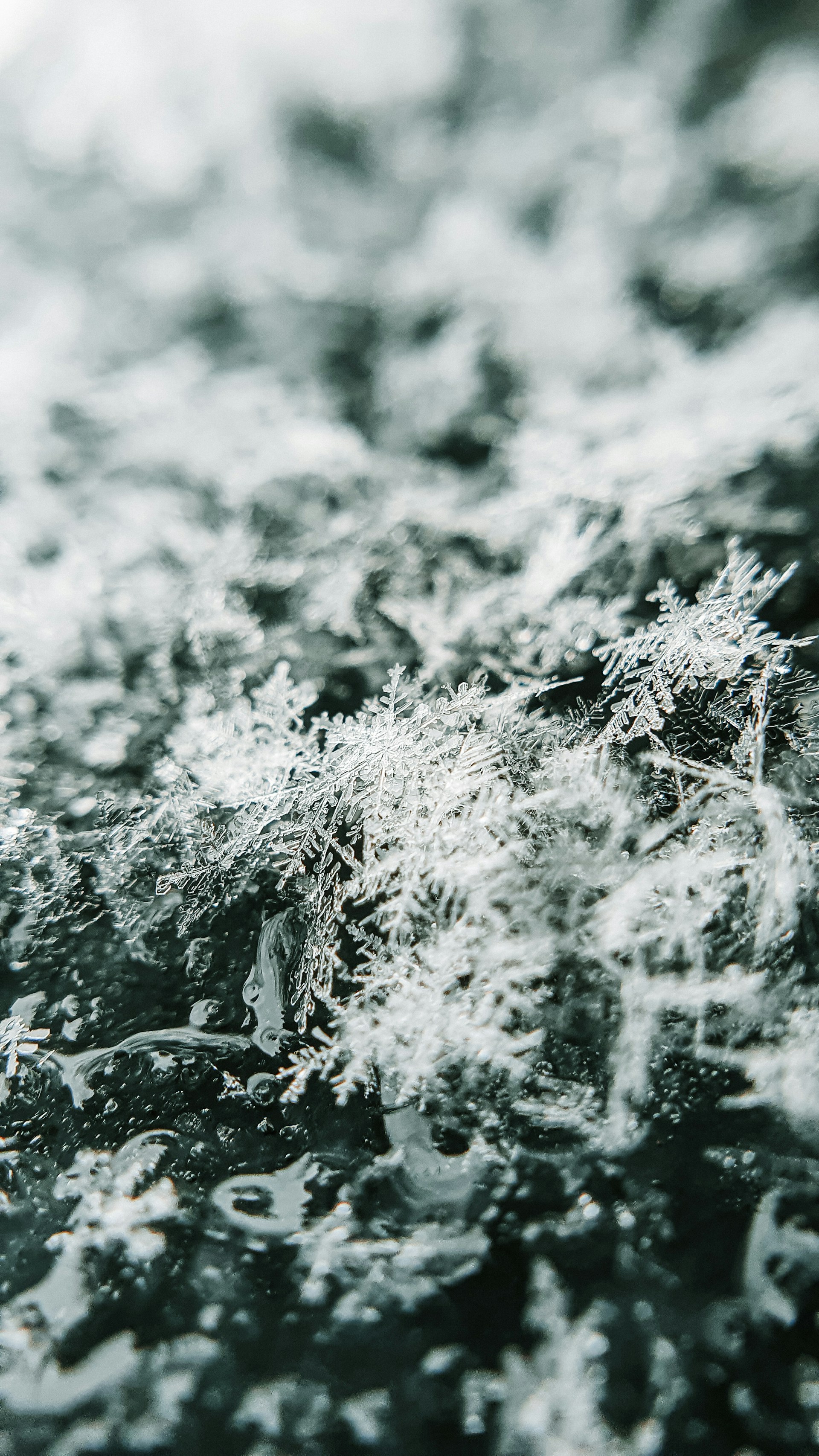 white snow on brown grass