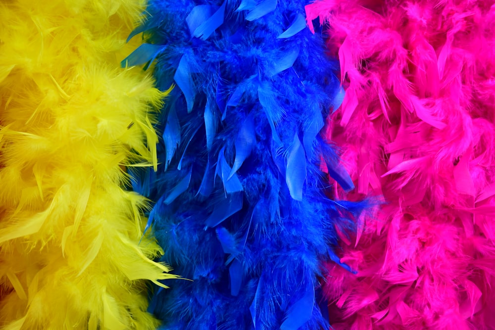 blue and purple feather on white textile