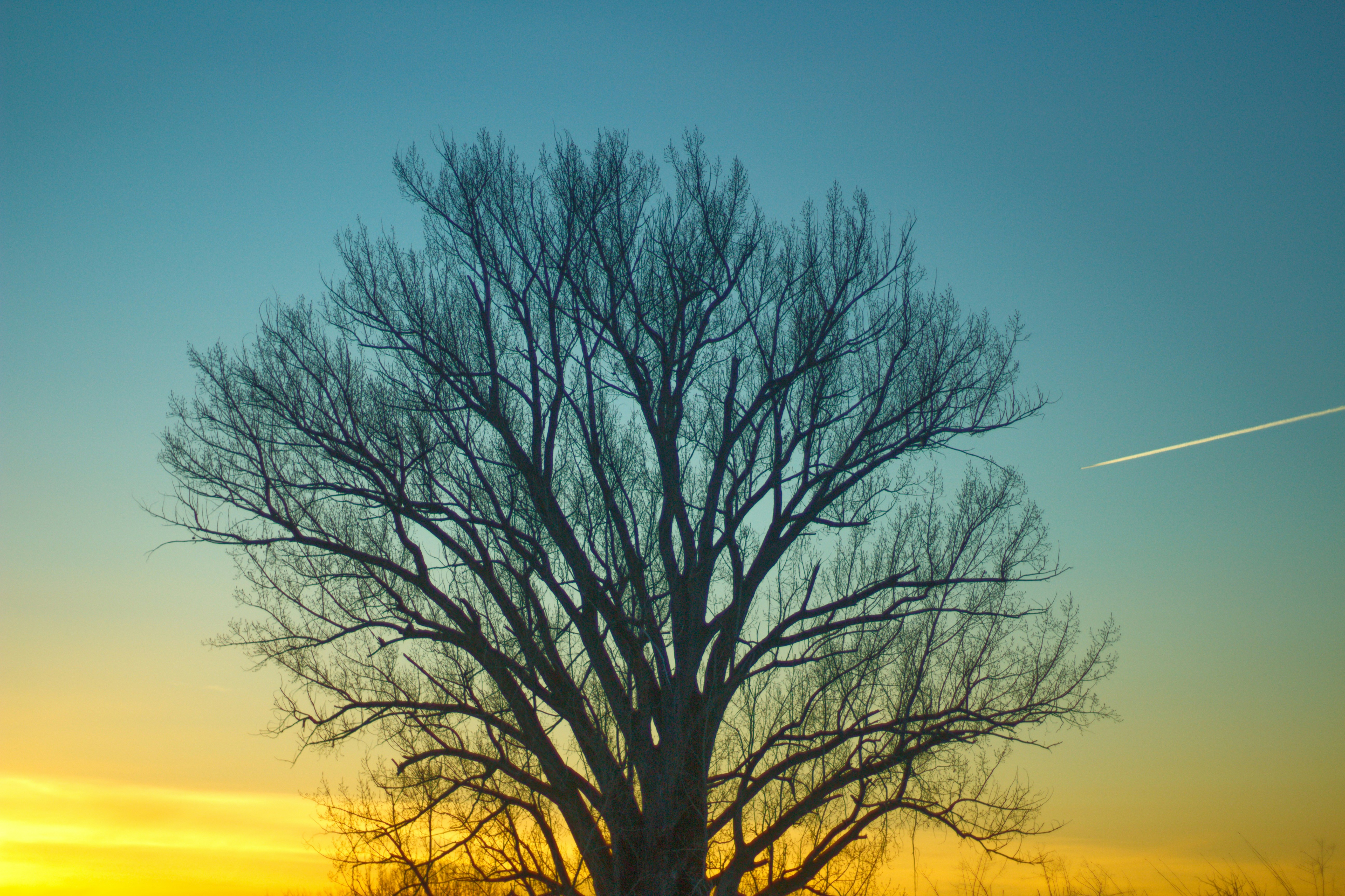 Photo by joshua_hoehne