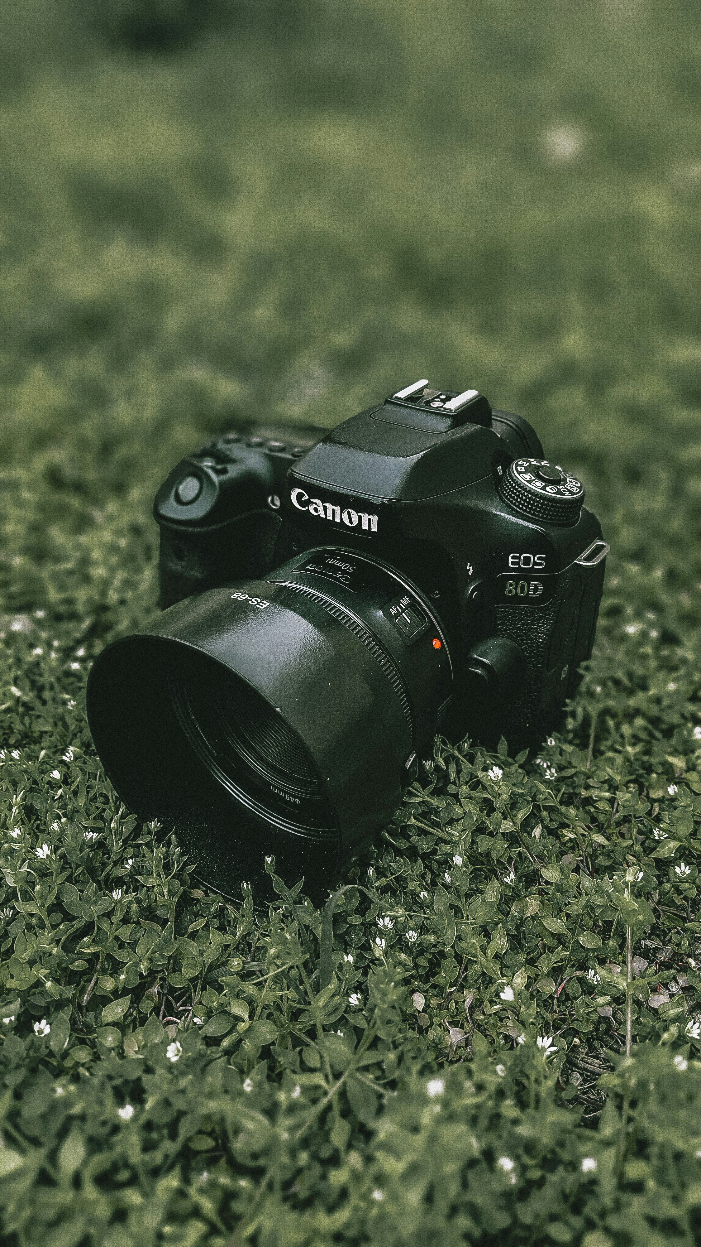 black nikon dslr camera on green grass