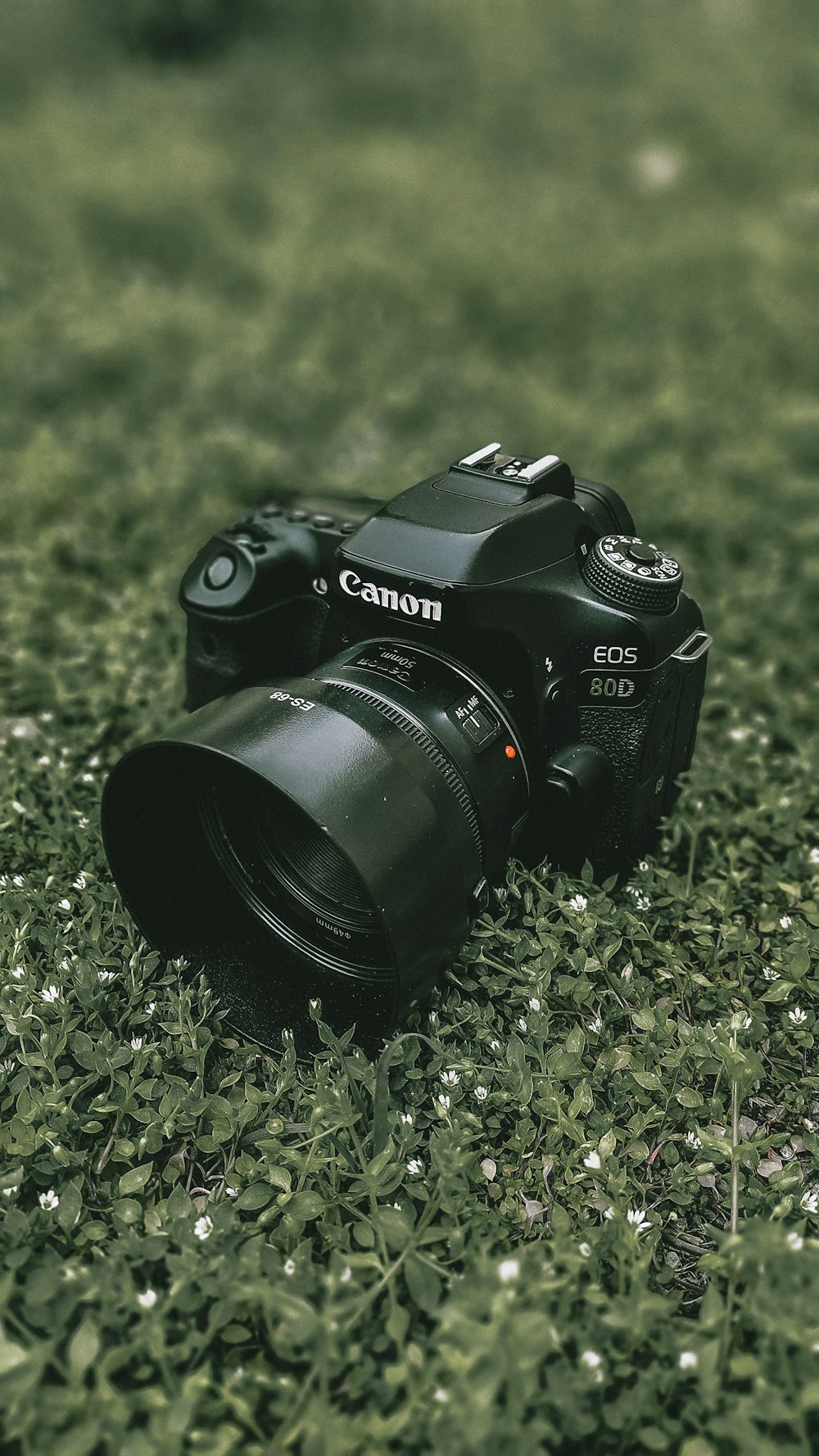 black nikon dslr camera on green grass