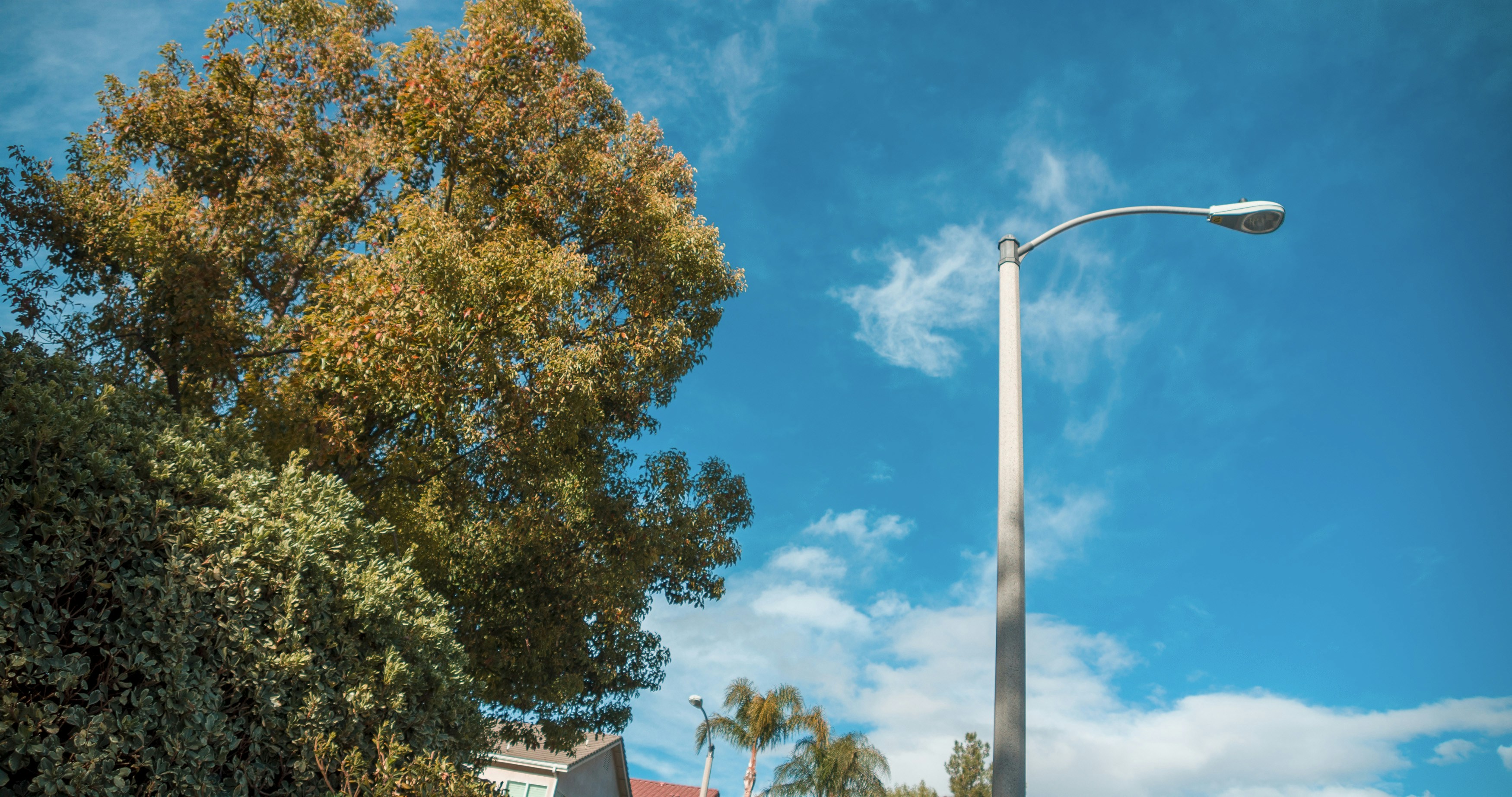 Photo by _nickwright_