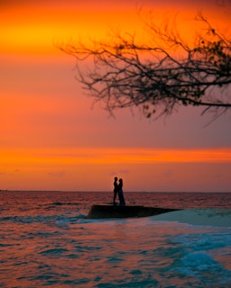 A couple stands on a small platform in the ocean, silhouetted against a vibrant orange and yellow sunset sky. A branch with sparse leaves is visible in the foreground.