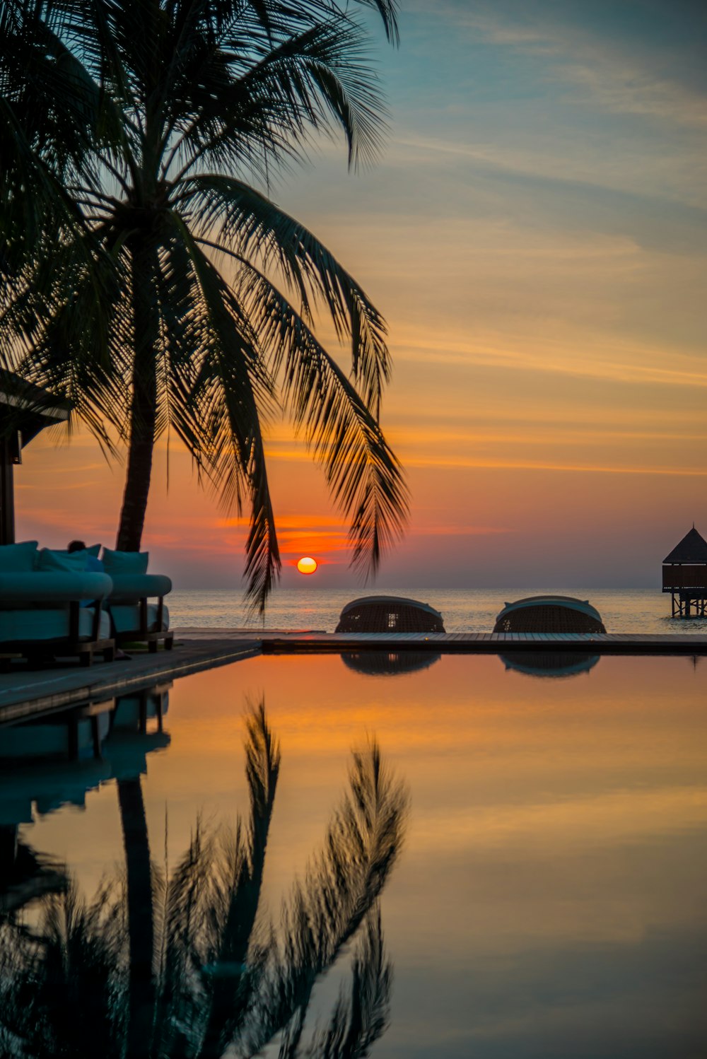 silhouette of palm tree near body of water during sunset