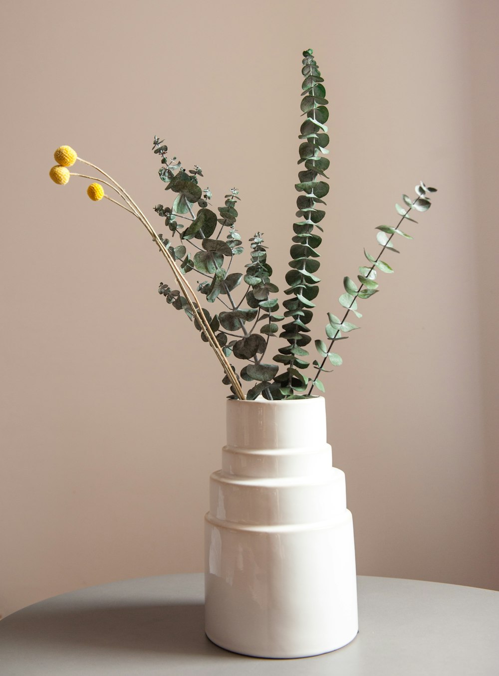 green plant on white ceramic vase