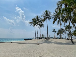 View of the nearby sandy beach with palm trees swaying in the breeze.